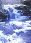 Ruscello al parco faunistico in inverno (24kb)
